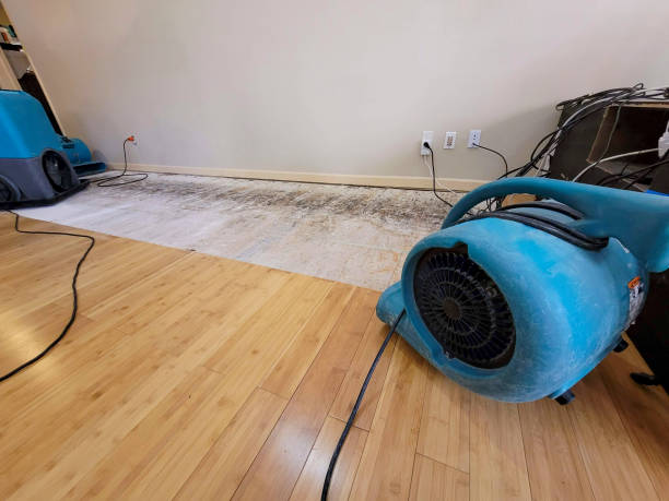 Professional Water Damage Repair technician working in Essex Fells, NJ